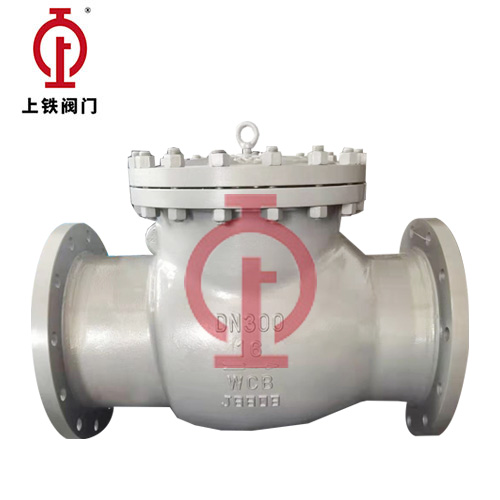 DN300碳鋼美標(biāo)止回閥